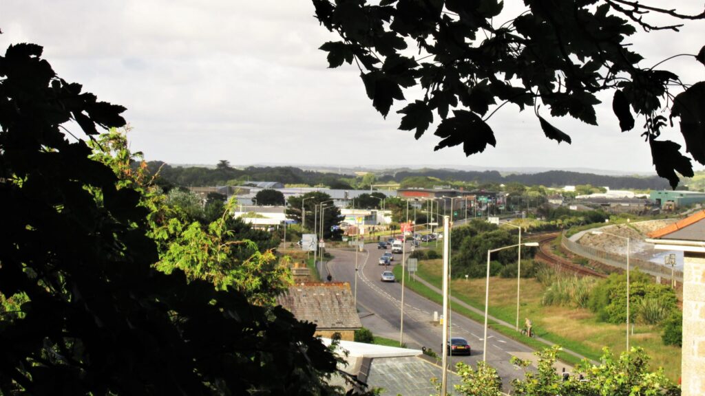 Photograph of Eastern Green